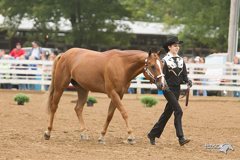 4H-Districts-11_0616.jpg