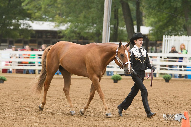 4H-Districts-11_0617.jpg