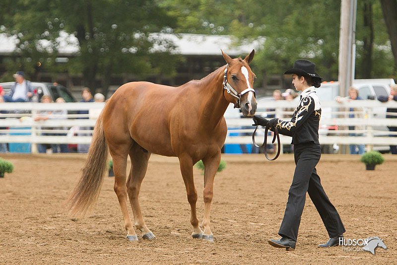 4H-Districts-11_0618.jpg