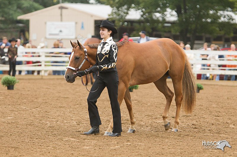 4H-Districts-11_0619.jpg