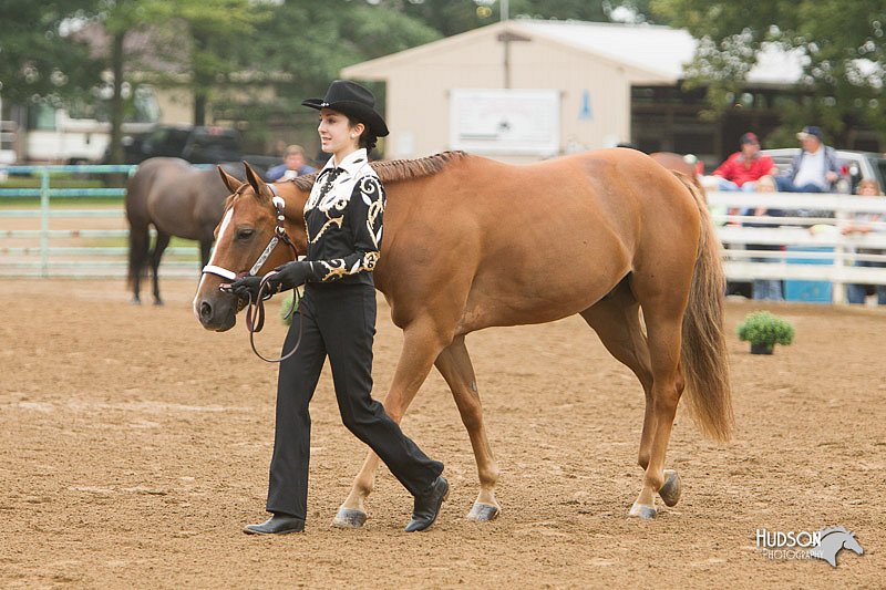 4H-Districts-11_0620.jpg