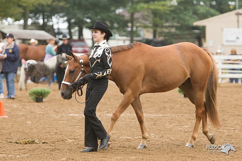 4H-Districts-11_0621.jpg