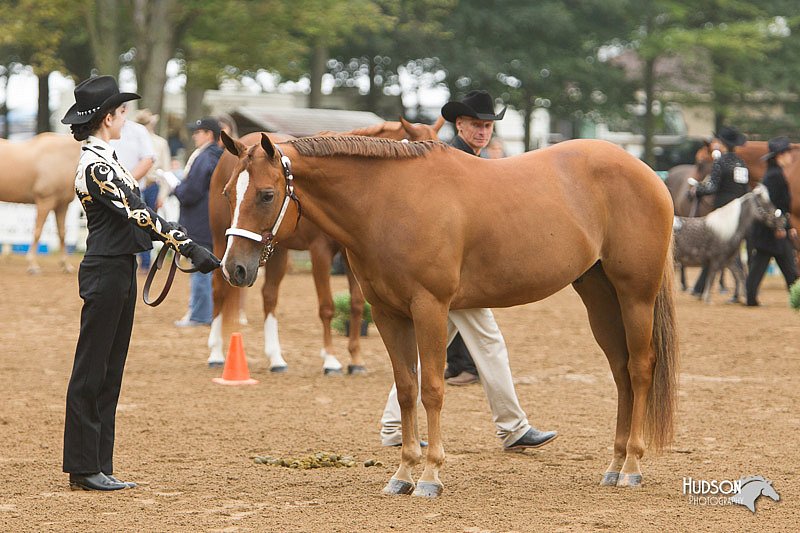 4H-Districts-11_0622.jpg