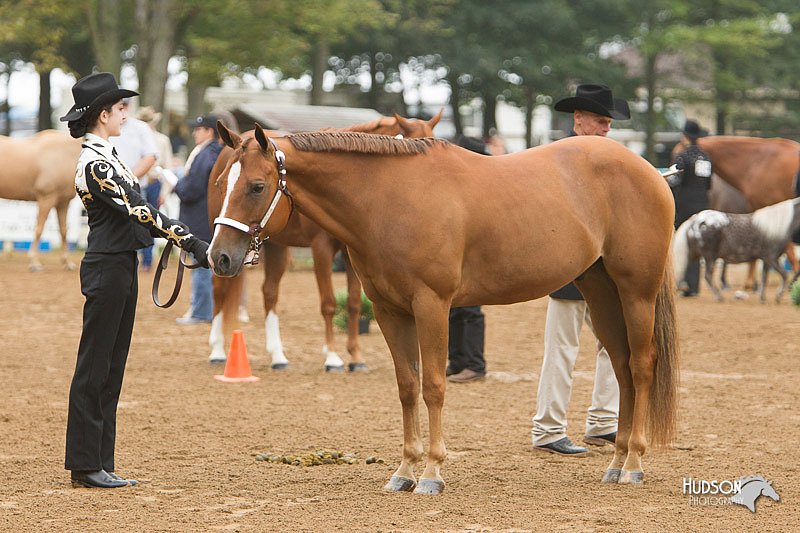 4H-Districts-11_0623.jpg