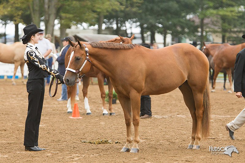 4H-Districts-11_0624.jpg