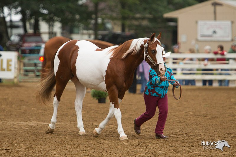 4H-Districts-11_0635.jpg