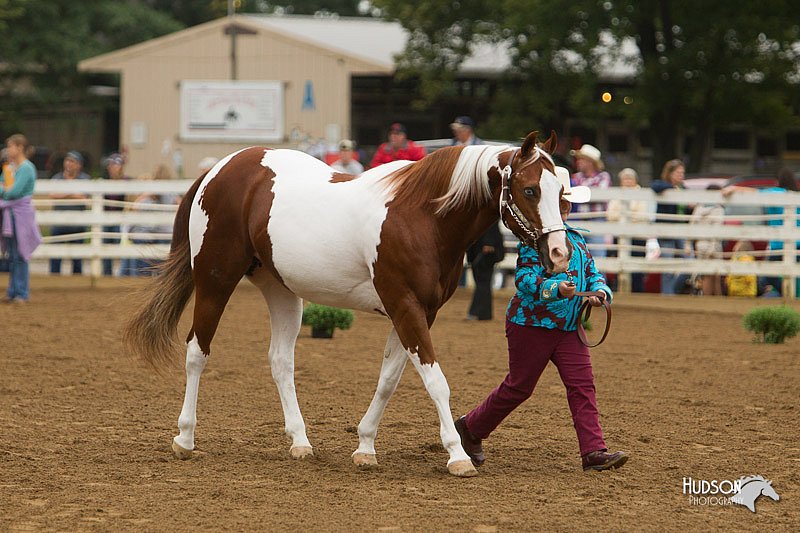 4H-Districts-11_0637.jpg