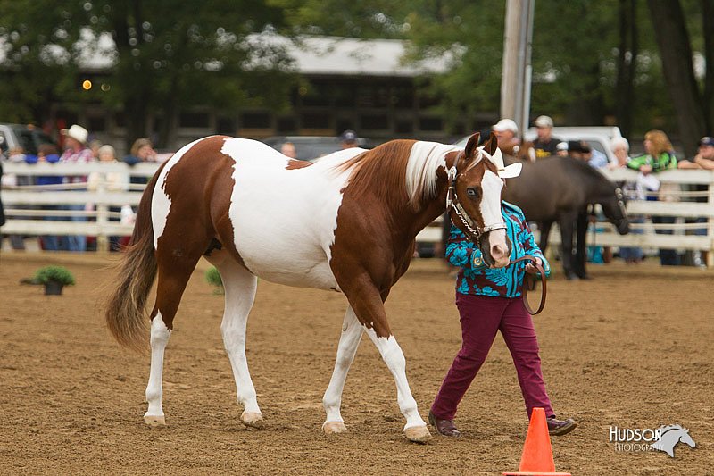4H-Districts-11_0638.jpg