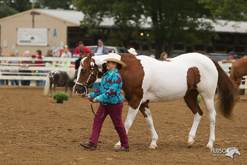 4H-Districts-11_0639.jpg