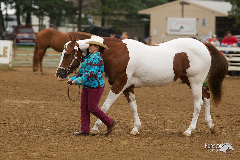 4H-Districts-11_0641.jpg