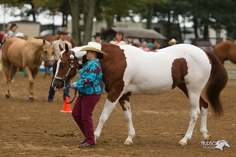 4H-Districts-11_0643.jpg