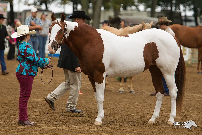 4H-Districts-11_0644.jpg