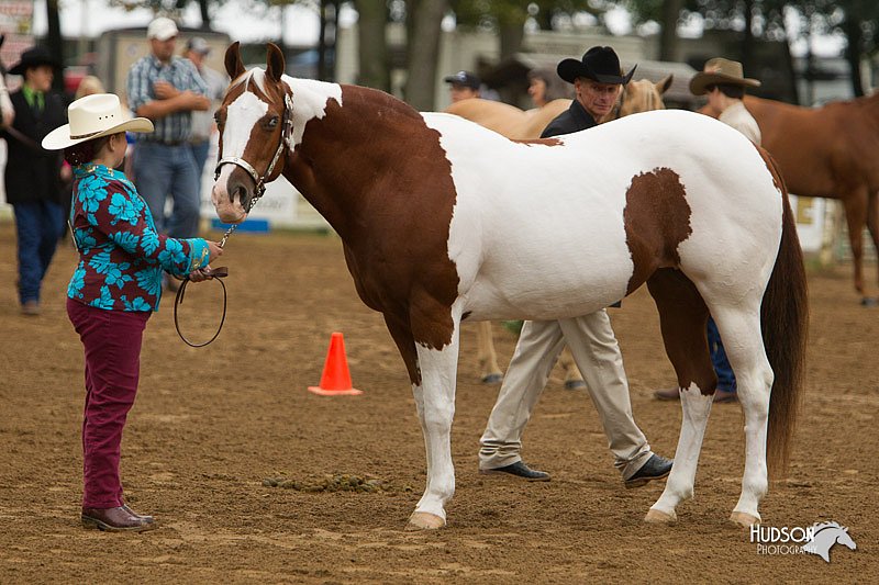 4H-Districts-11_0645.jpg