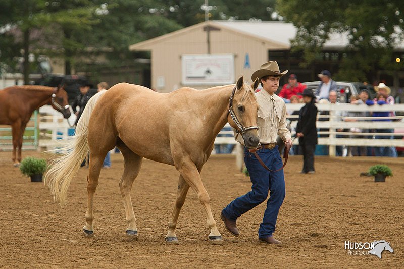 4H-Districts-11_0649.jpg
