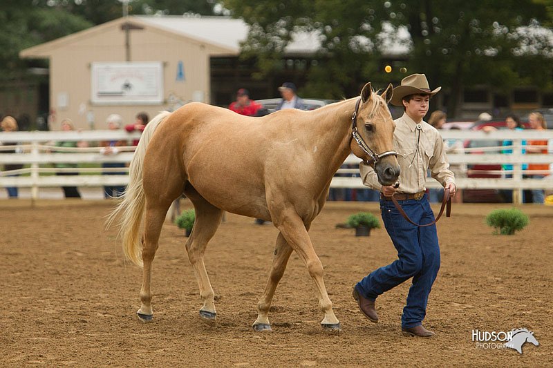 4H-Districts-11_0650.jpg