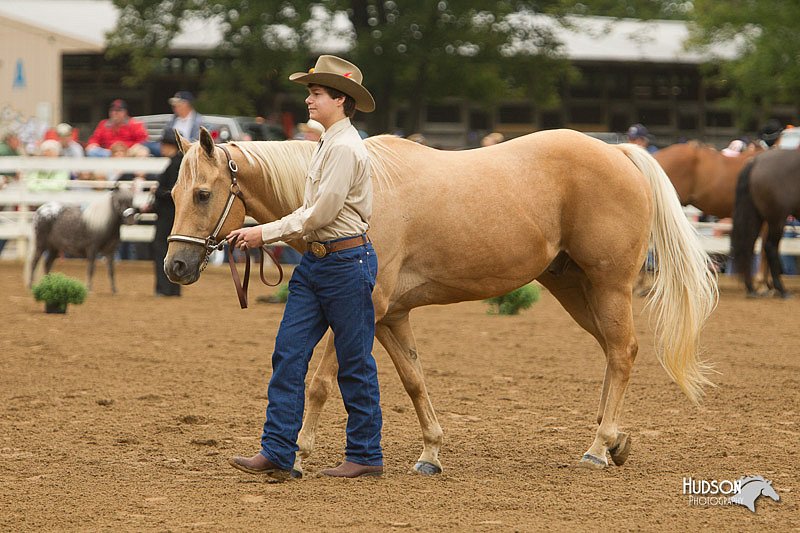 4H-Districts-11_0651.jpg