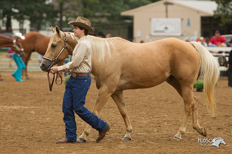 4H-Districts-11_0653.jpg