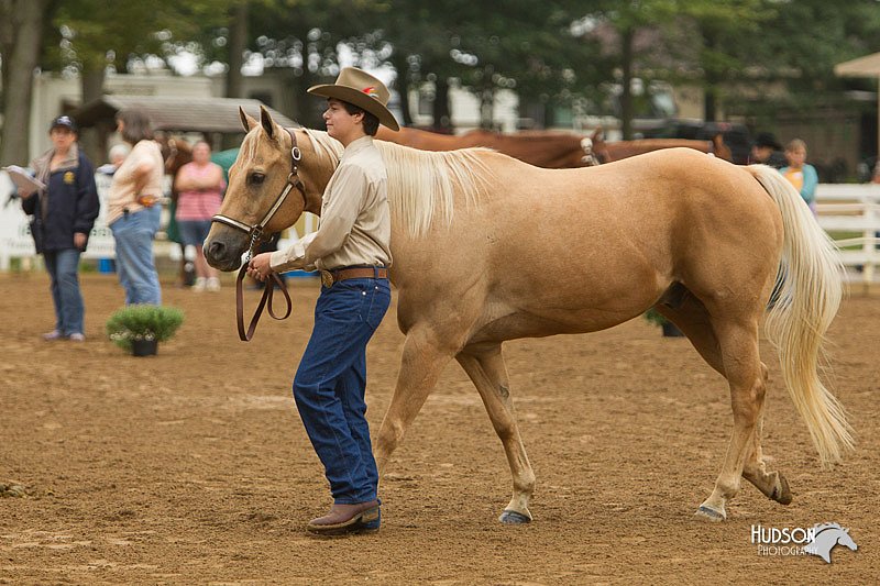 4H-Districts-11_0654.jpg