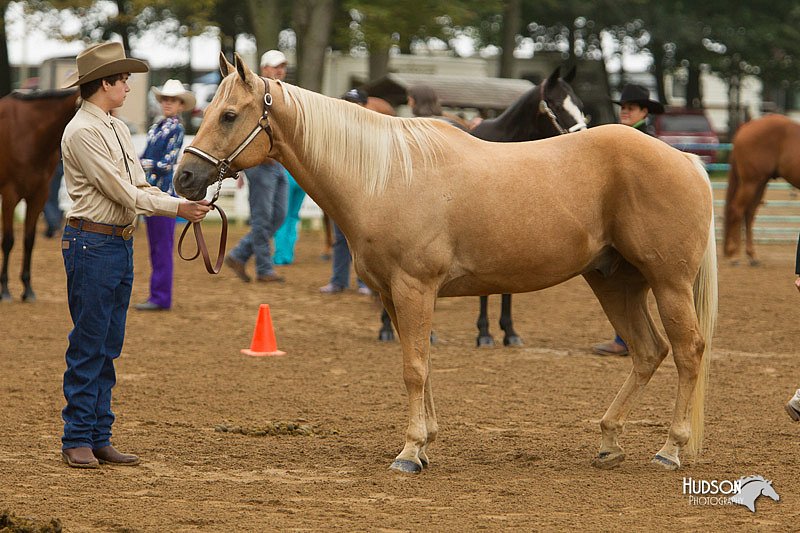 4H-Districts-11_0655.jpg