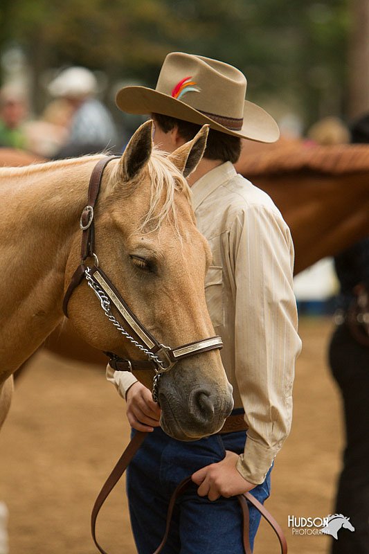 4H-Districts-11_0659.jpg