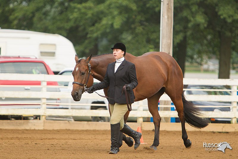 4H-Districts-11_1272.jpg