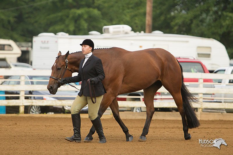 4H-Districts-11_1273.jpg