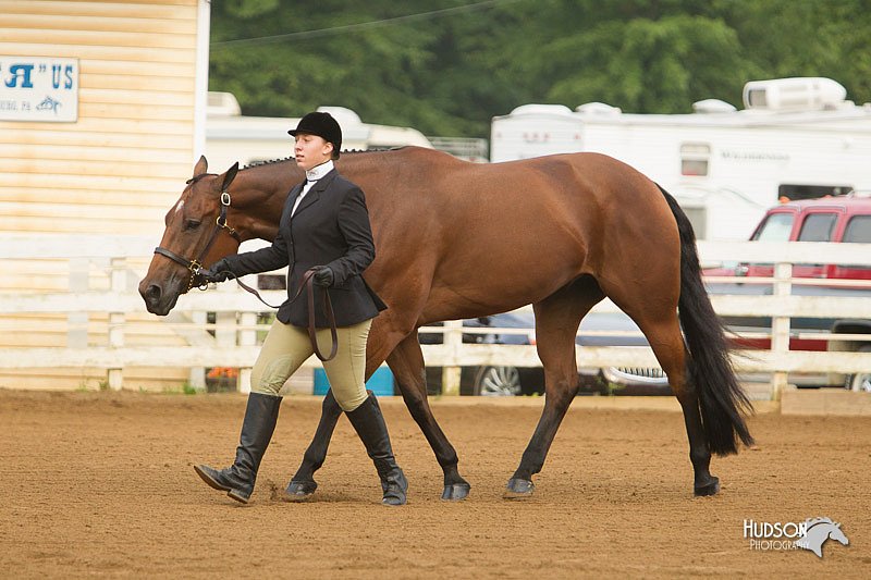 4H-Districts-11_1274.jpg