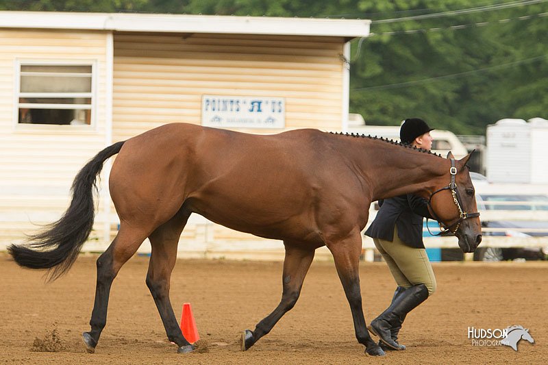 4H-Districts-11_1276.jpg