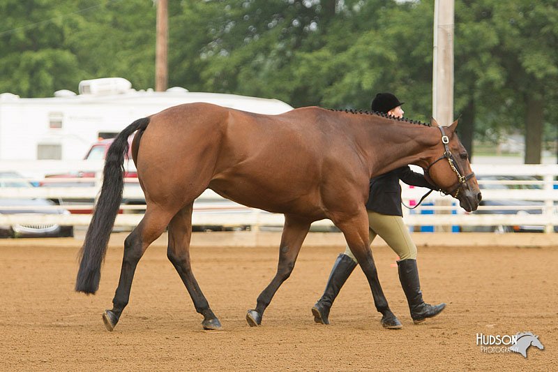 4H-Districts-11_1277.jpg