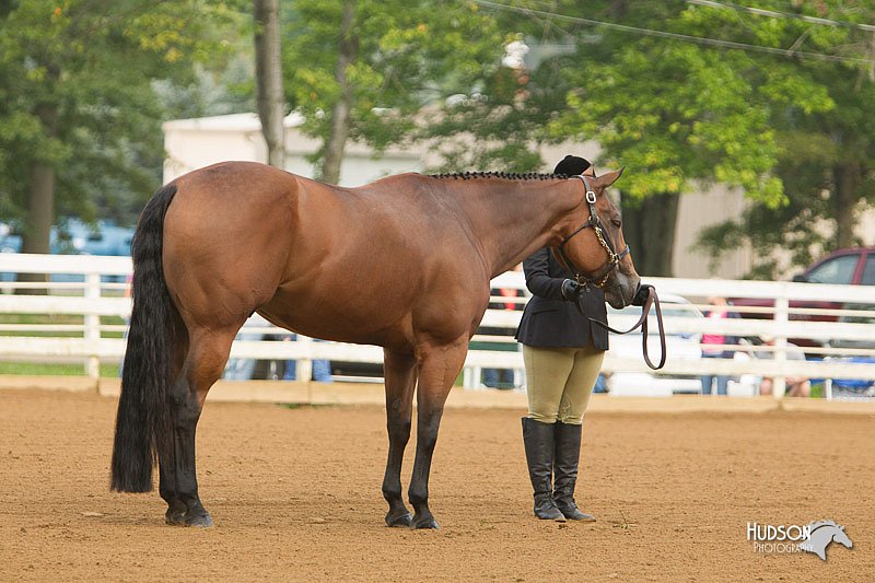 4H-Districts-11_1279.jpg