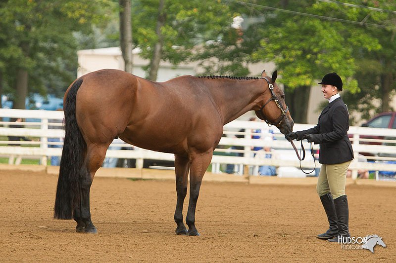 4H-Districts-11_1280.jpg