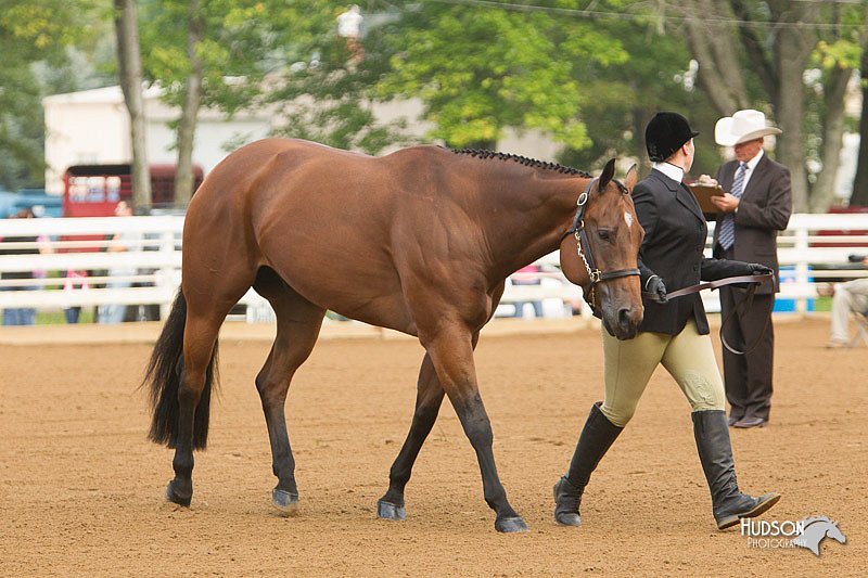 4H-Districts-11_1282.jpg
