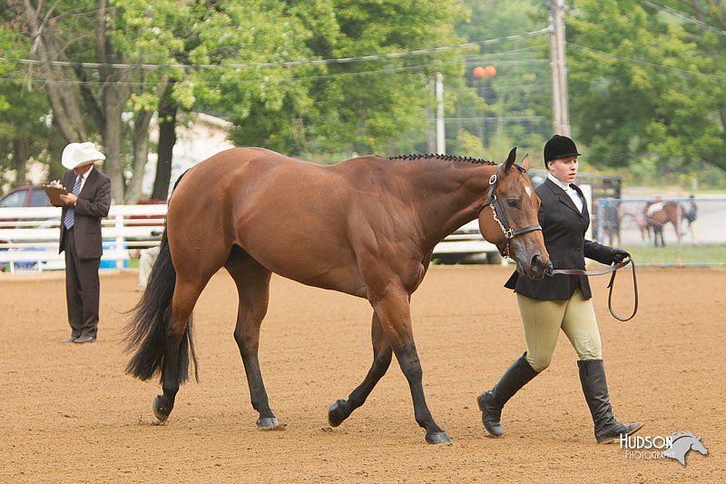 4H-Districts-11_1283.jpg