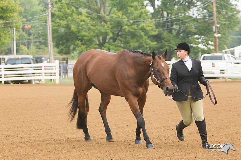 4H-Districts-11_1284.jpg