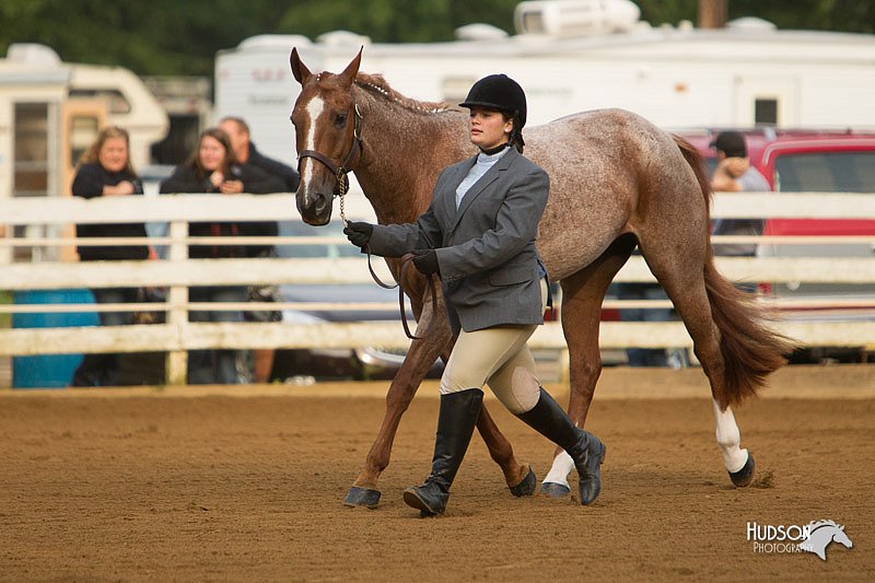 4H-Districts-11_1286.jpg