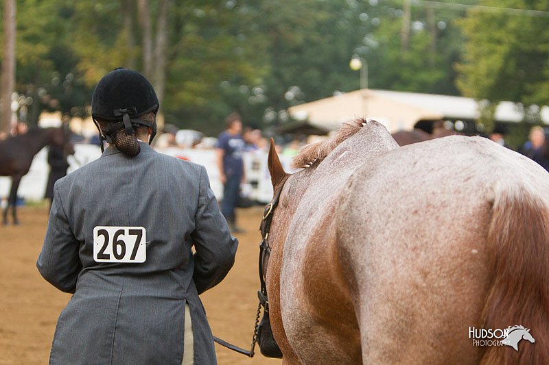 4H-Districts-11_1293.jpg