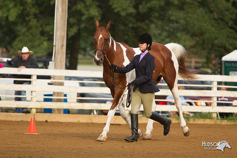 4H-Districts-11_1294.jpg
