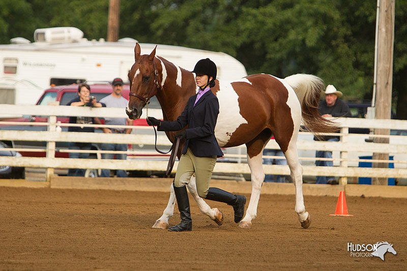 4H-Districts-11_1295.jpg