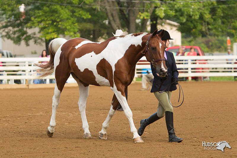 4H-Districts-11_1305.jpg