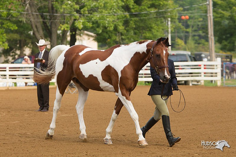 4H-Districts-11_1306.jpg