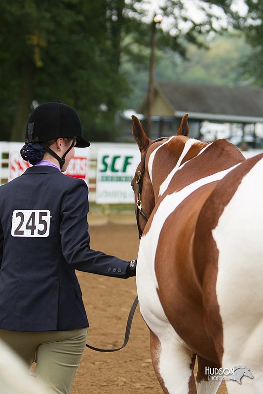 4H-Districts-11_1312.jpg