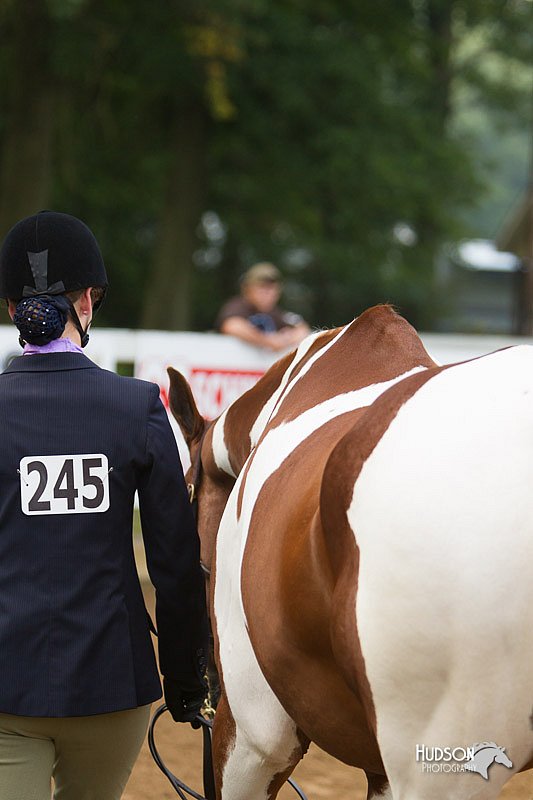 4H-Districts-11_1313.jpg
