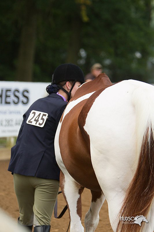 4H-Districts-11_1314.jpg