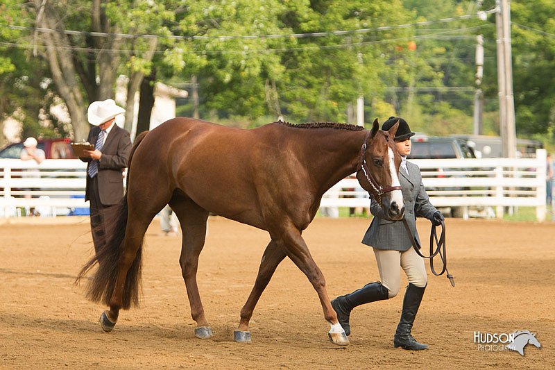 4H-Districts-11_1322.jpg