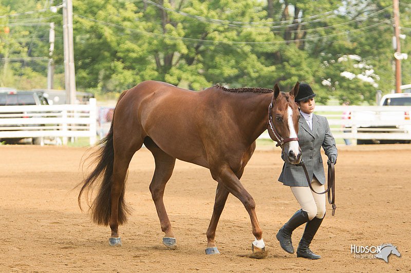 4H-Districts-11_1323.jpg