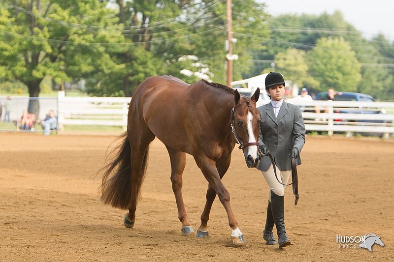 4H-Districts-11_1324.jpg