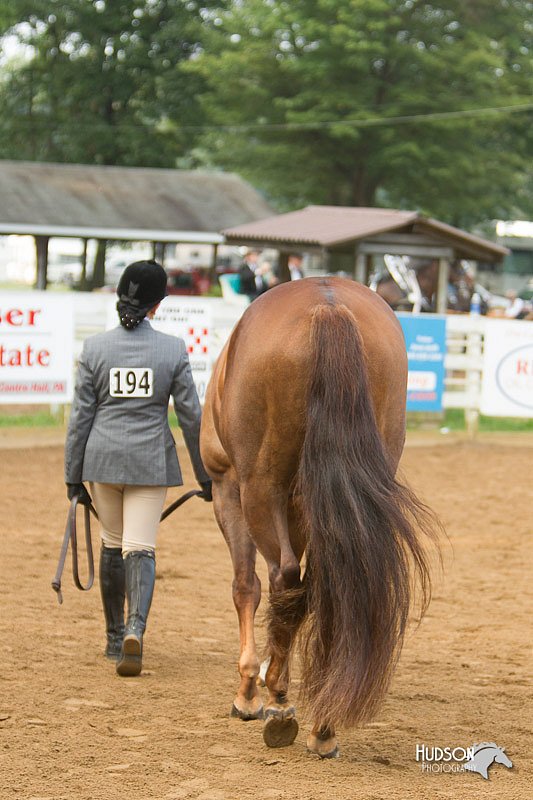 4H-Districts-11_1328.jpg