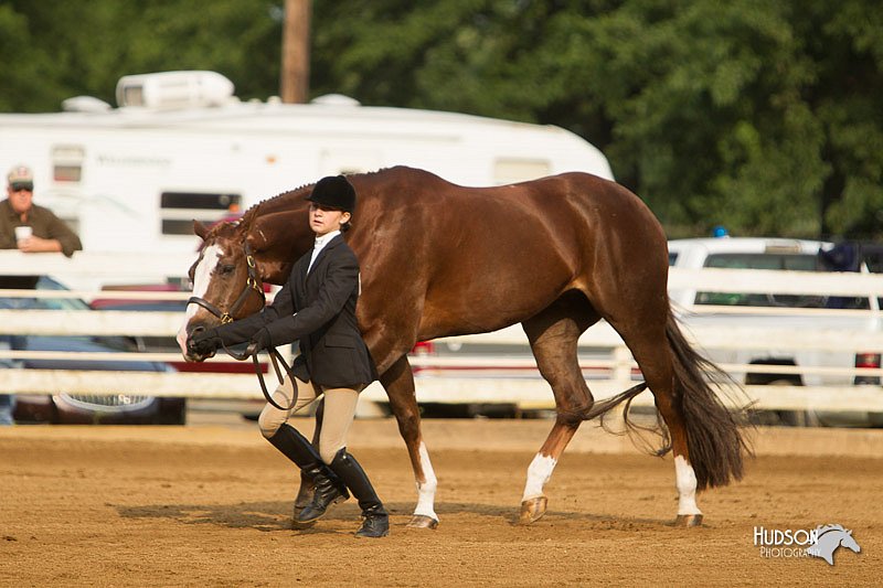 4H-Districts-11_1330.jpg