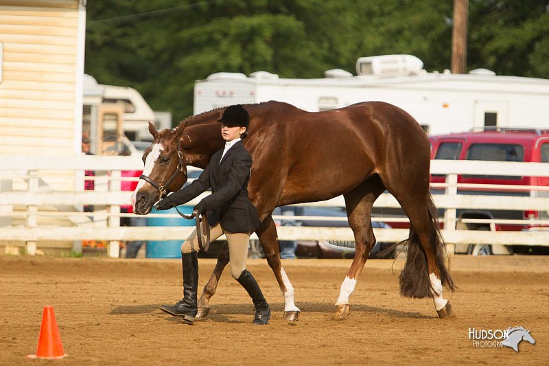 4H-Districts-11_1331.jpg