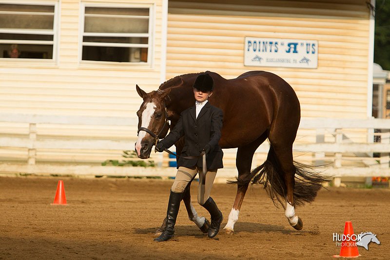 4H-Districts-11_1332.jpg